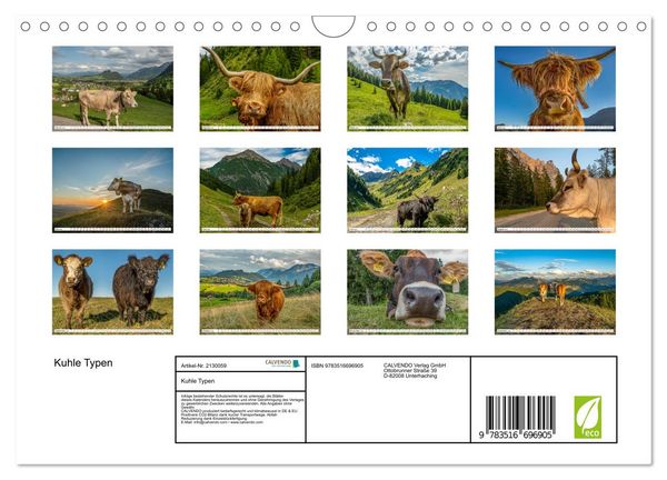 Produktbild: Kuhle Typen (Wandkalender 2026 DIN A4 quer), CALVENDO Monatskalender