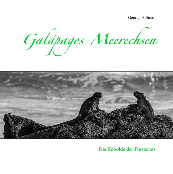 Produktbild: Gal&aacute;pagos-Meerechsen