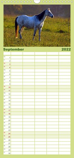 Produktbild: Familienplaner Faszination Pferde (Wandkalender 2022 , 21 cm x 45 cm, hoch)