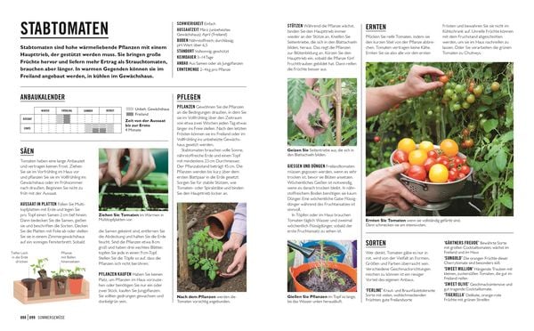 Produktbild: Gr&uuml;nes Gartenwissen. Gem&uuml;se anbauen