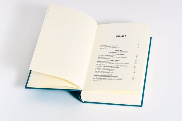 Produktbild: Visualisiere!