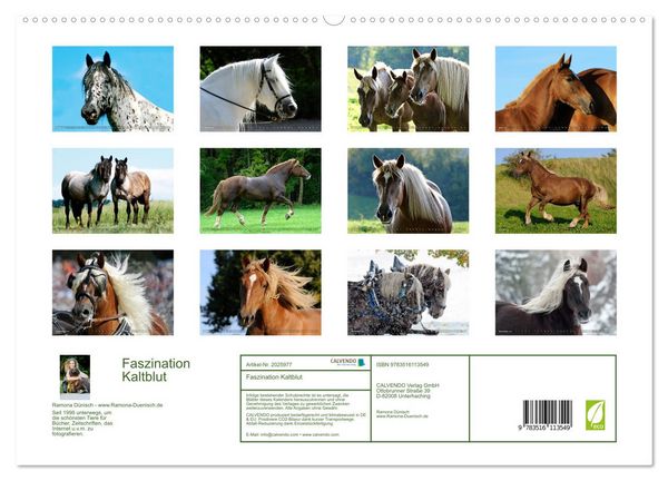 Produktbild: Faszination Kaltblut (hochwertiger Premium Wandkalender 2026 DIN A2 quer), Kunstdruck in Hochglanz