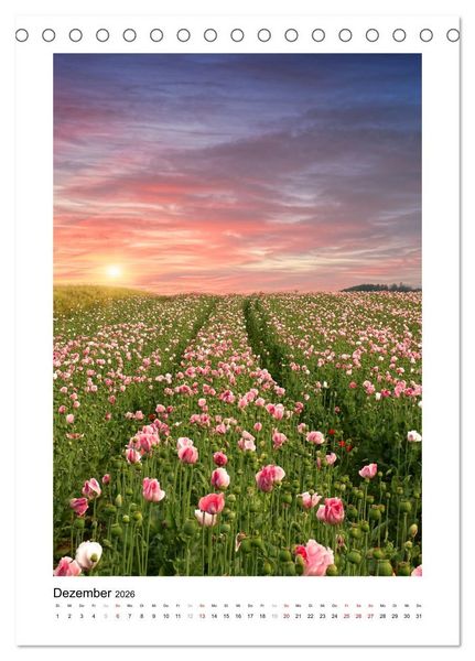 Produktbild: Zauber der Mohnbl&uuml;te (Tischkalender 2026 DIN A5 hoch), CALVENDO Monatskalender