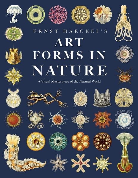 Produktbild: Ernst Haeckel's Art Forms in Nature