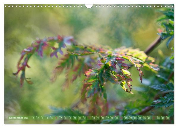 Produktbild: Die Poesie der Pflanzenwelt - Im Wandel der Jahreszeiten (Wandkalender 2026 DIN A3 quer), CALVENDO Monatskalender