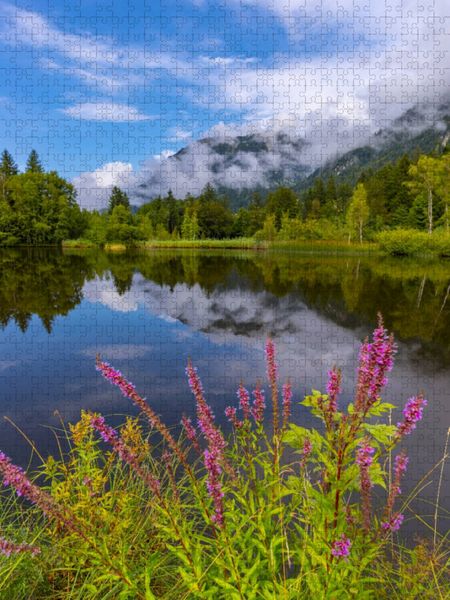 Produktbild: CALVENDO Puzzle Blutweiderich, Moorweiher | 1000 Teile Lege-Gr&ouml;&szlig;e 64x48cm Foto-Puzzle f&uuml;r gl&uuml;ckliche Stunden