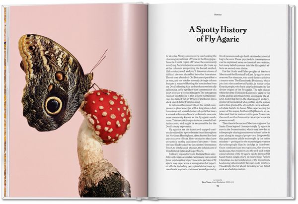 Produktbild: The Gourmand's Mushroom