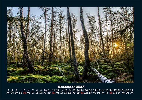 Produktbild: B&auml;ume 2027 Fotokalender DIN A4