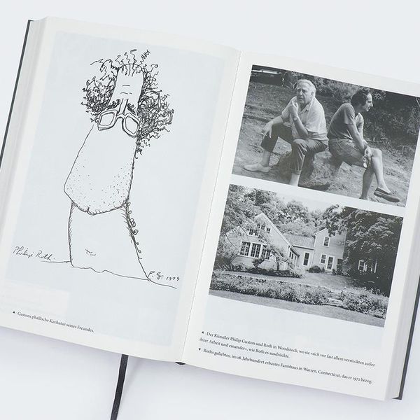 Produktbild: Philip Roth