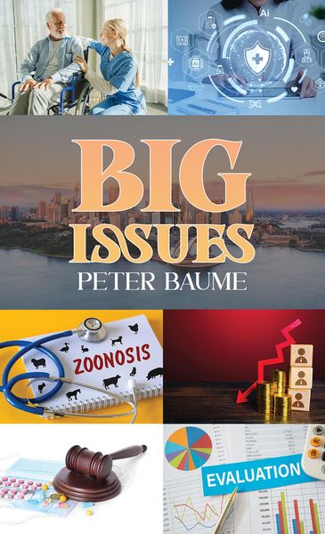 Produktbild: Big Issues