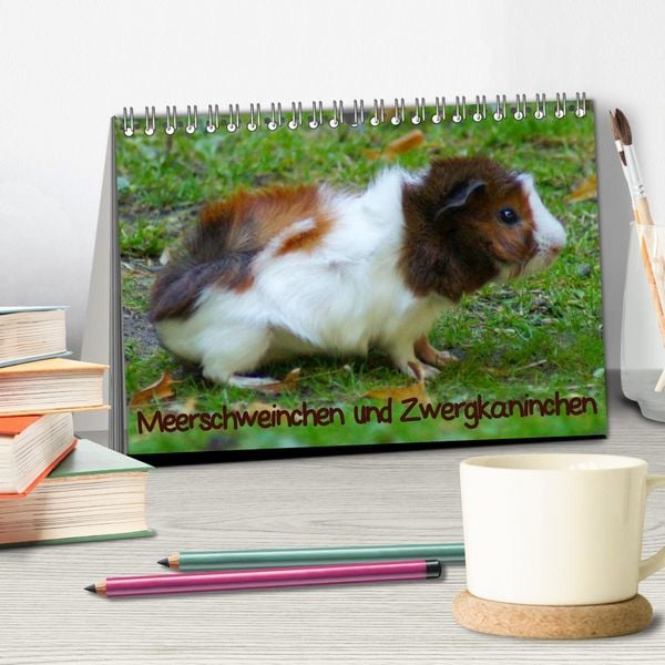 Produktbild: Meerschweinchen und Zwergkaninchen (Tischkalender 2026 DIN A5 quer), CALVENDO Monatskalender