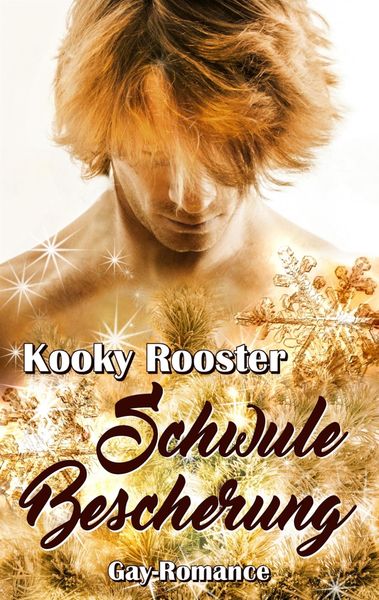 Produktbild: Schwule Bescherung