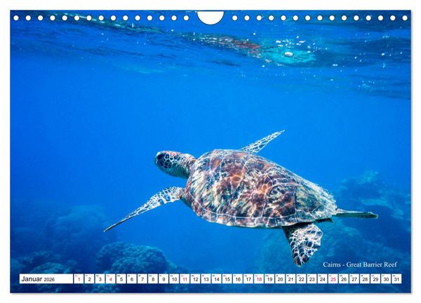 Produktbild: Australien Ostk&uuml;ste - von Cairns nach Sydney (Wandkalender 2026 DIN A4 quer), CALVENDO Monatskalender
