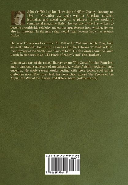 Produktbild: The Turtles of Tasman