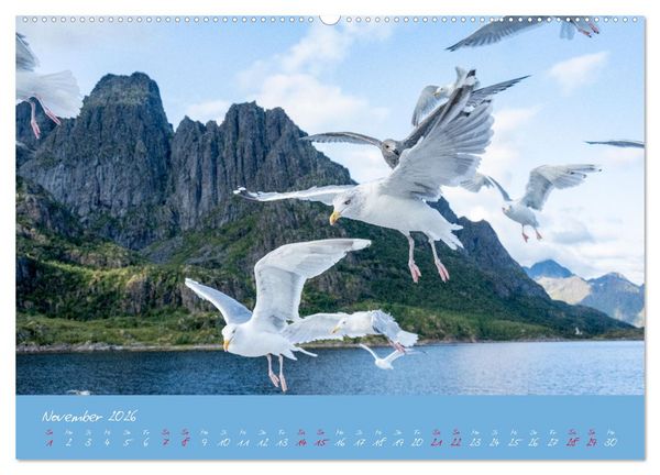 Produktbild: M&ouml;wen die Begleiter an Meer und See (Wandkalender 2026 DIN A2 quer), CALVENDO Monatskalender
