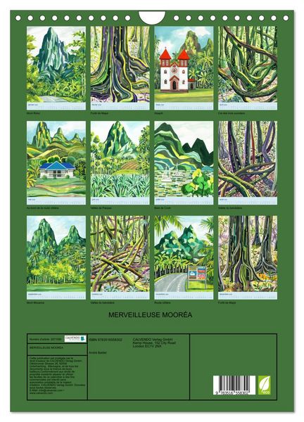 Produktbild: MERVEILLEUSE MOOR&Eacute;A (Calendrier mural 2026 DIN A4 horizontal), CALVENDO calendrier mensuel