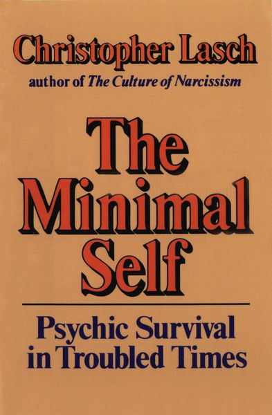 Produktbild: The Minimal Self
