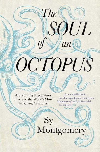 Produktbild: The Soul of an Octopus