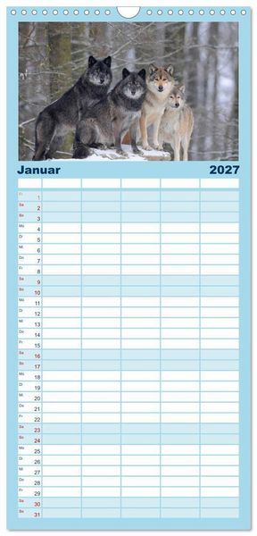 Produktbild: Familienplaner 2027 - Kanadische W&ouml;lfe im Winter mit 5 Spalten (Wandkalender, 21 x 45 cm) CALVENDO