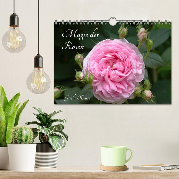 Produktbild: Magie der Rosen (Wandkalender 2026 DIN A4 quer), CALVENDO Monatskalender