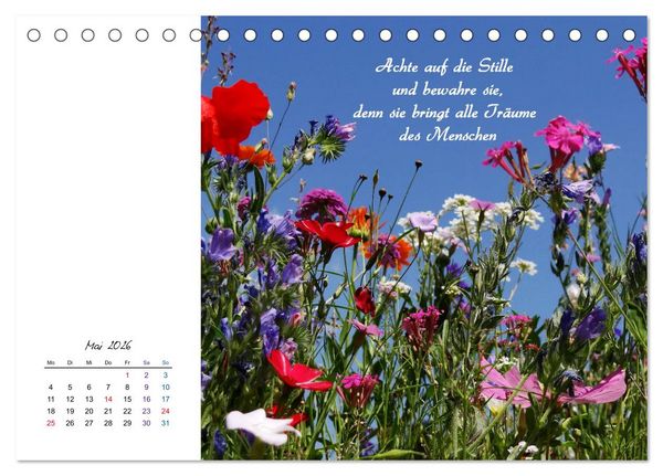 Produktbild: Innehalten in der Natur ... mit Weisheiten und Sprichworten der Indianer (Tischkalender 2026 DIN A5 quer), CALVENDO Monatskalender