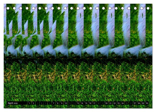 Produktbild: Magische Bilder - 3D Stereogramme (Tischkalender 2026 DIN A5 quer), CALVENDO Monatskalender