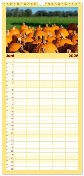 Produktbild: Familienplaner 2026 - K&Uuml;RBIS KALENDER - Die sch&ouml;nsten K&uuml;rbisse des Jahres mit 5 Spalten (Wandkalender, 21 x 45 cm) CALVENDO