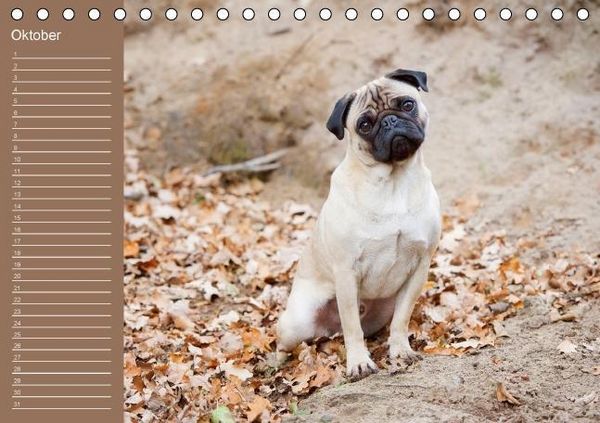 Produktbild: Ein Mops f&uuml;rs Herz (Tischkalender immerw&auml;hrend DIN A5 quer)