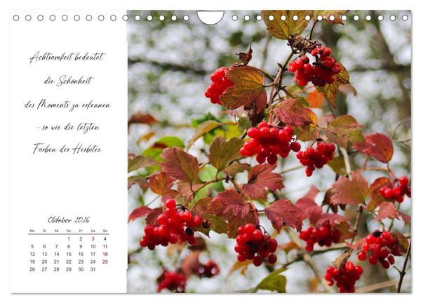 Produktbild: Der Atem der Stille - Achtsame Augenblicke in der Natur (Wandkalender 2026 DIN A4 quer), CALVENDO Monatskalender