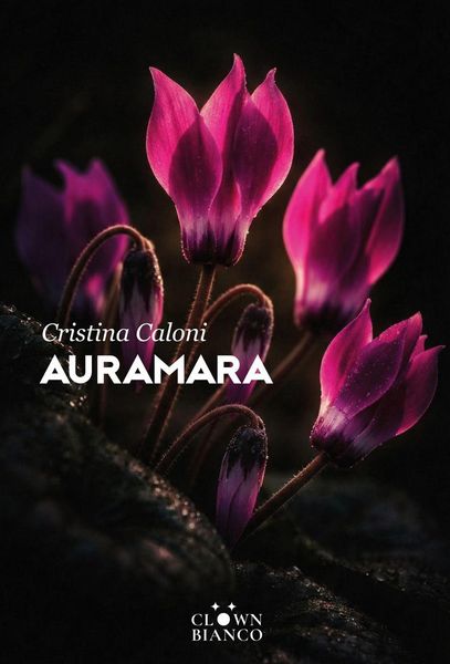 Produktbild: Auramara