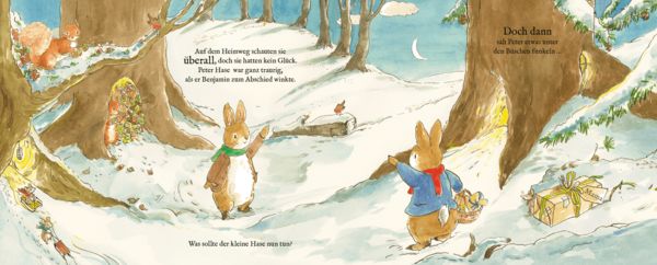 Produktbild: Peter Hase Das gro&szlig;e Weihnachtsfest