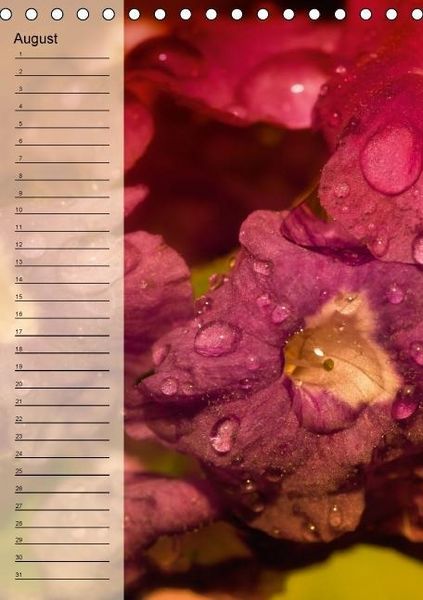 Produktbild: Immerw&auml;hrender Geburtstagskalender - Bl&uuml;tentr&auml;ume (Tischkalender immerw&auml;hrend DIN A5 hoch)