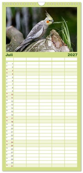 Produktbild: Familienplaner 2027 - Nymphensittiche mit 5 Spalten (Wandkalender, 21 x 45 cm) CALVENDO