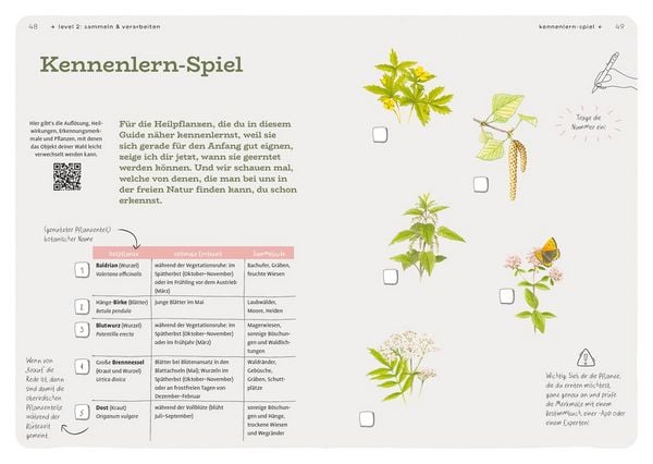 Produktbild: Dein Projekt. Dein Guide. Heilpflanzen kennen, sammeln, verarbeiten