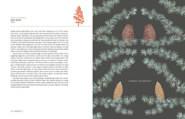 Produktbild: Arboretum. 70 B&auml;ume - 70 St&auml;dte