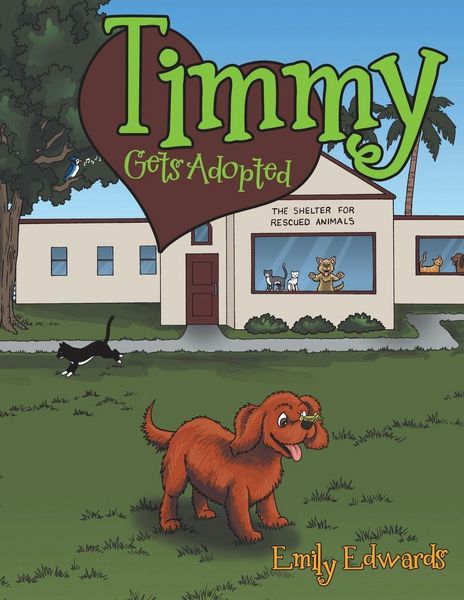 Produktbild: Timmy Gets Adopted