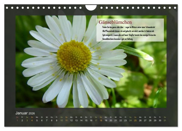 Produktbild: Outdoor-Survival-Kalender (Wandkalender 2026 DIN A4 quer), CALVENDO Monatskalender