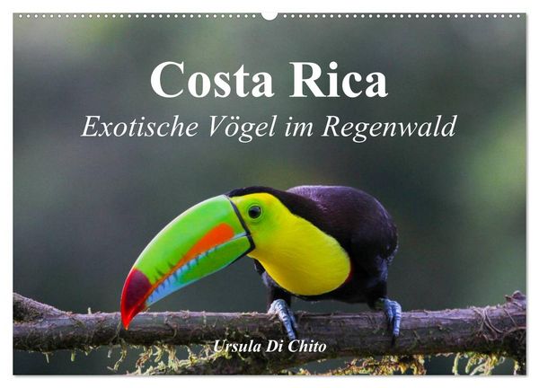 Produktbild: Costa Rica - Exotische V&ouml;gel im Regenwald (Wandkalender 2026 DIN A2 quer), CALVENDO Monatskalender