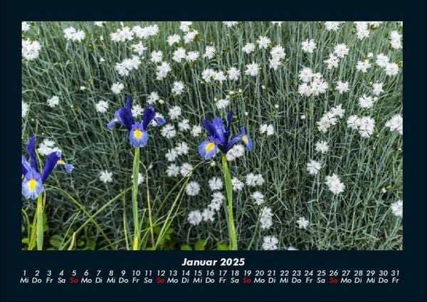 Produktbild: Blumenkalender 2025 Fotokalender DIN A4