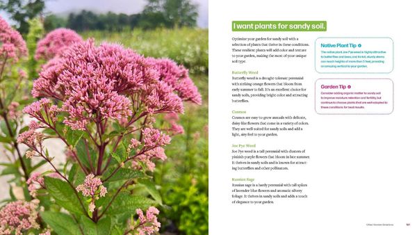 Produktbild: Plant by Number
