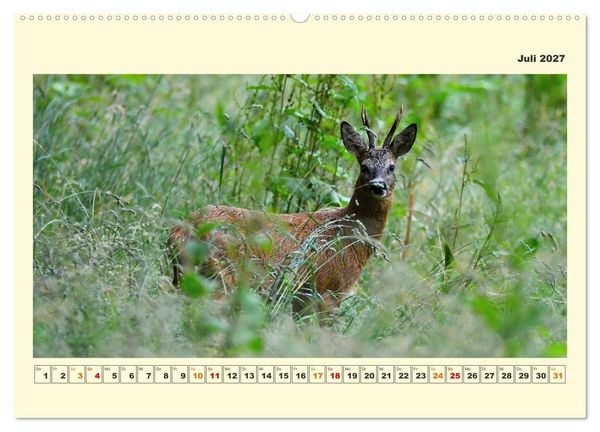 Produktbild: Tierwelt der W&uuml;mmeniederung (hochwertiger Premium Wandkalender 2027 DIN A2 quer), Kunstdruck in Hochglanz