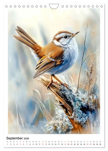 Produktbild: V&ouml;gel - gefiederte Freunde in unserem Garten (Wandkalender 2026 DIN A4 hoch), CALVENDO Monatskalender