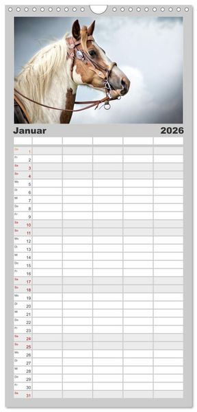 Produktbild: Familienplaner 2026 - Faszination Westernpferde mit 5 Spalten (Wandkalender, 21 x 45 cm) CALVENDO