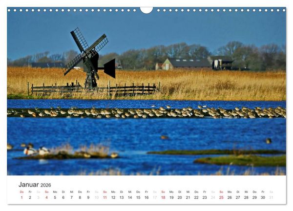 Produktbild: Texel &ndash; Eine Insel die verzaubert (Wandkalender 2026 DIN A3 quer), CALVENDO Monatskalender