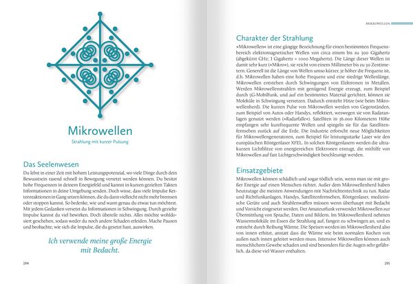 Produktbild: Hom&ouml;opathische Symbolapotheke. 70 wichtige "Kleine Mittel"