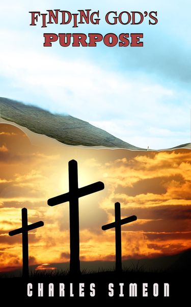 Produktbild: Finding God's Purpose