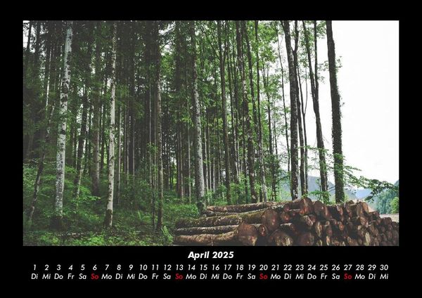 Produktbild: Landschaftskalender 2025 Fotokalender DIN A3