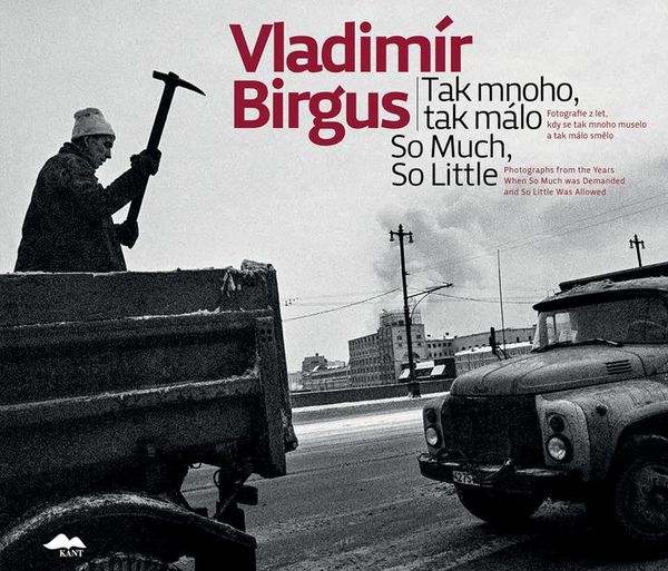 Produktbild: Vladim&iacute;r Birgus: So Much, So Little