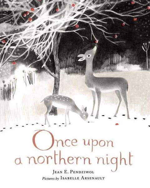 Produktbild: Once Upon a Northern Night
