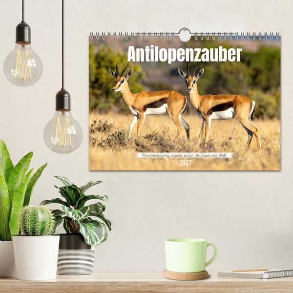Produktbild: Antilopenzauber (Wandkalender 2027 DIN A4 quer), CALVENDO Monatskalender